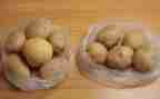 关于土豆的作文7篇