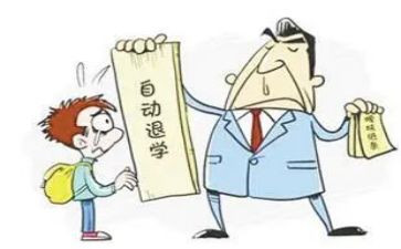 学生退学申请书范文5篇