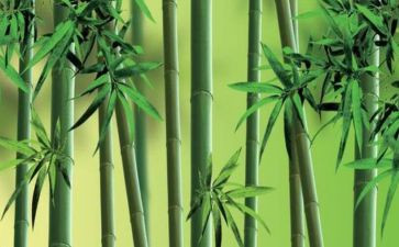 托物言志的作文800字5篇