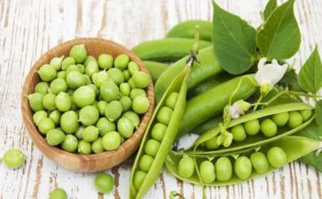 一个豆荚里的豌豆教案5篇