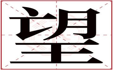 我的新年愿望作文450字6篇
