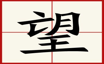 他望着我作文8篇