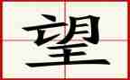 作文我盼望800字作文7篇