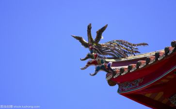 文化心得体会最新6篇