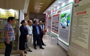 2024年小学语文培训心得体会优质7篇