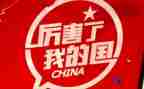 我我的家我的国作文精选5篇