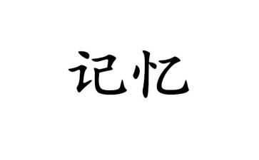 我的记忆作文600字8篇