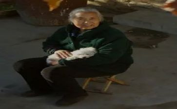 我的奶奶四年级作文400字5篇