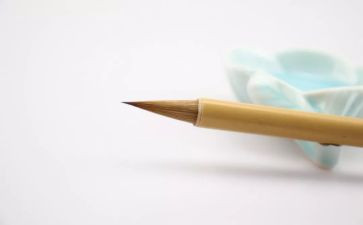 牵动我的情思题作文600字8篇