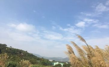 我的一天的作文800字5篇