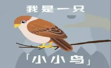 小小鸟小班教案通用7篇