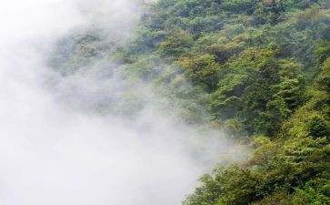 雾都孤儿的读后感最新5篇