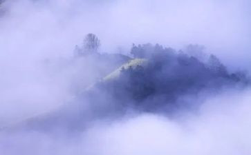 雾都孤儿的读后感600字8篇