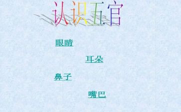 五官科2024年度总结8篇