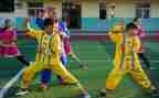 小学体育武术教案5篇