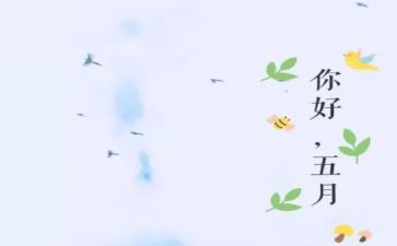 红五月活动方案6篇