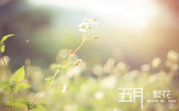 五月工作总结通用6篇