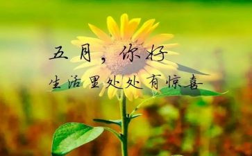 销售五月份的工作计划7篇