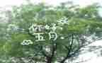 五月工作总结最新6篇