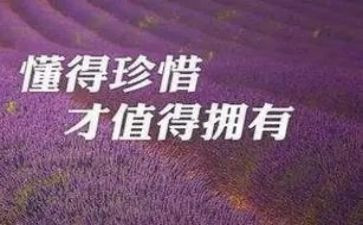 珍惜爱作文600字5篇