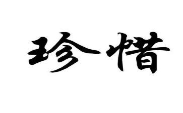 珍惜爱作文参考5篇