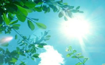 写夏天作文400字优质6篇