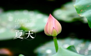 夏天来了作文300字_夏天作文参考8篇