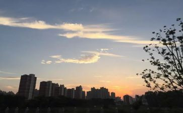初一下班主任工作计划7篇