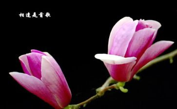 相逢优秀作文7篇