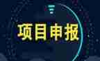 项目管理中心得体会模板8篇
