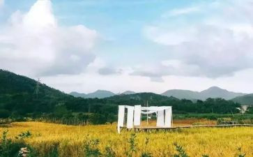 我享受春天作文8篇