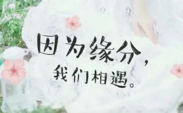 相遇的作文精选8篇