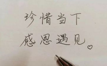 相遇的作文6篇