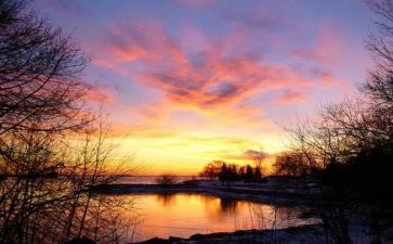 《骆驼祥子》8~9章读后感5篇