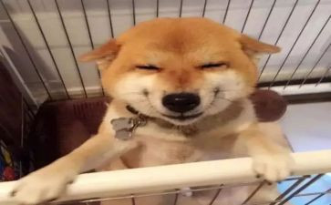 微笑语言教案7篇