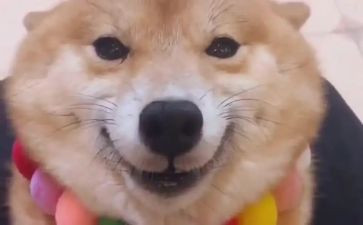 关于笑的作文400字最新5篇