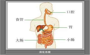 2024年消化科护理工作总结5篇