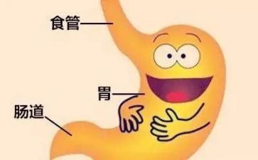 消化科工作总结5篇