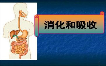 消化科年度总结6篇