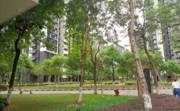 小区环境的调查报告推荐8篇