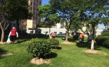 小区物业经理的述职报告5篇