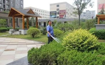小区物业工作总结精选5篇