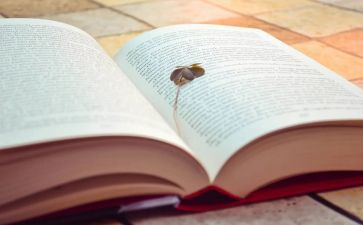 小说《三体》读后感8篇