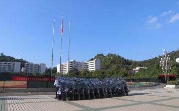 校卫队的申请书7篇