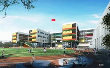 校园活动开展的总结报告8篇