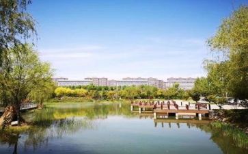 关于校园贷演讲稿参考7篇