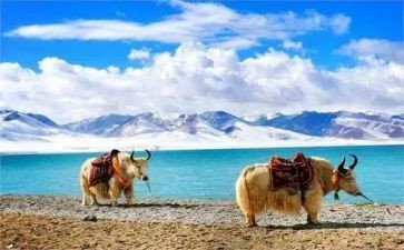 西藏之旅的作文6篇