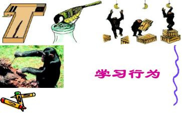 高中学生行为规范心得体会7篇