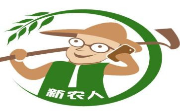 新农村房屋买卖合同模板5篇