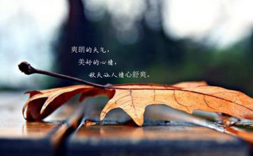 心情烦的作文7篇